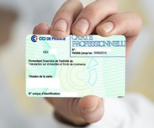 Carte Professionnelle Immobilier Tout Comprendre